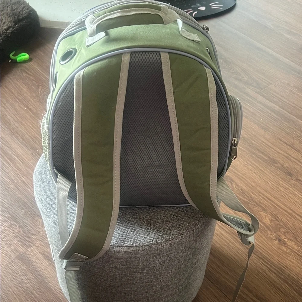 Green Bubble Pet Carrier Backpack with Clear Dome